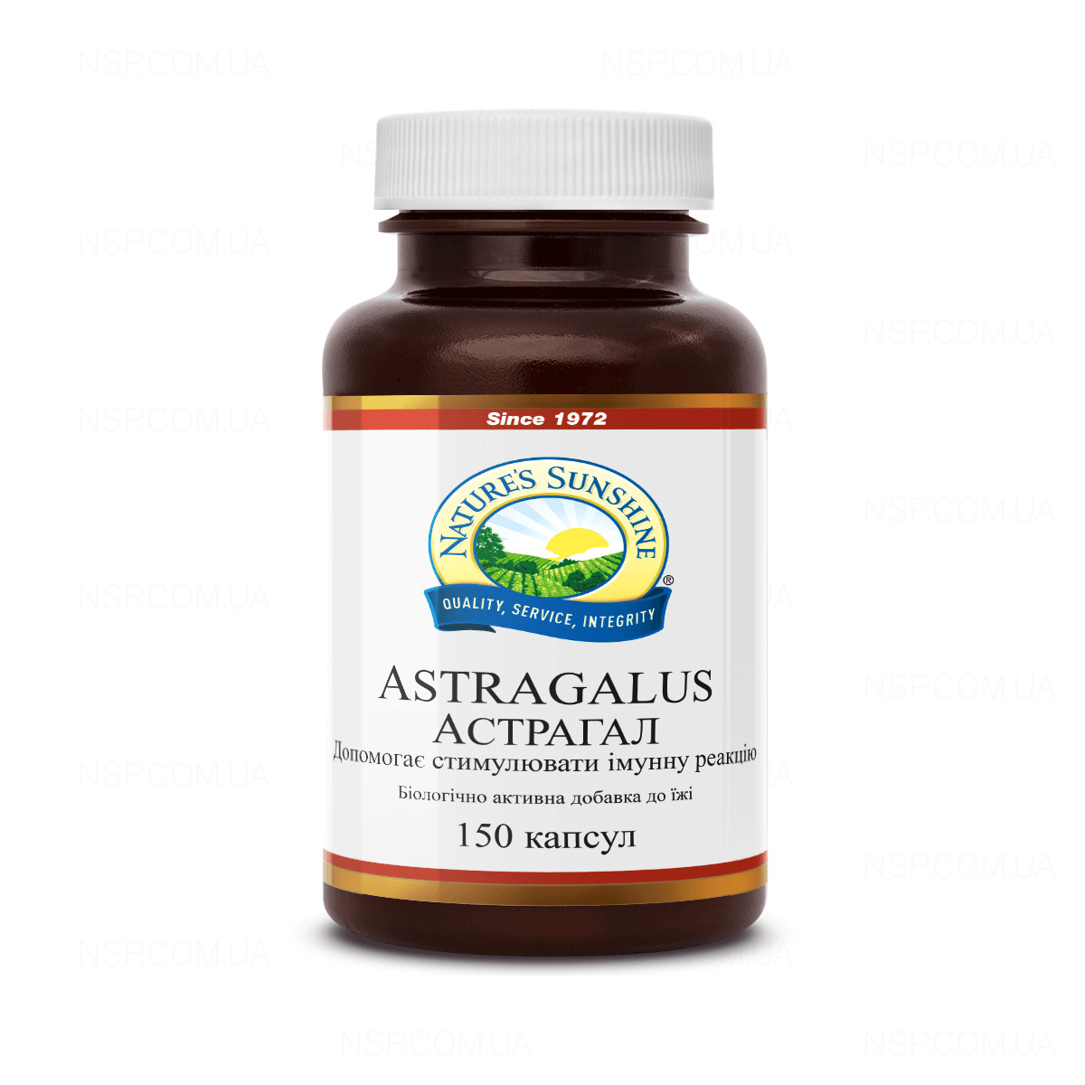 Astragalus - Астрагал - БАД Nature's Sunshine Products (NSP)